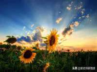 南京水之韵百货商贸有限公司