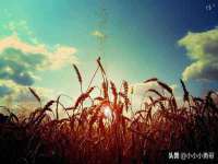 南京水之韵百货商贸有限公司