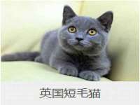 南京水之韵百货商贸有限公司