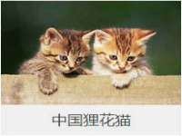 南京水之韵百货商贸有限公司