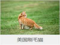 南京水之韵百货商贸有限公司