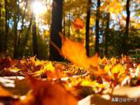 南京水之韵百货商贸有限公司