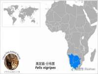 南京水之韵百货商贸有限公司
