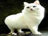 南京水之韵百货商贸有限公司