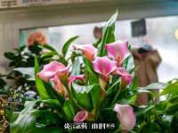 南京水之韵百货商贸有限公司