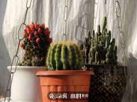 南京水之韵百货商贸有限公司