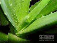南京水之韵百货商贸有限公司