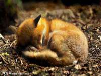 南京水之韵百货商贸有限公司