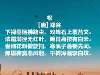 南京水之韵百货商贸有限公司