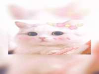 南京水之韵百货商贸有限公司