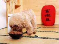 南京水之韵百货商贸有限公司
