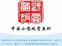 南京水之韵百货商贸有限公司