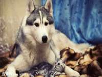 南京水之韵百货商贸有限公司