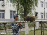 南京水之韵百货商贸有限公司