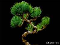 南京水之韵百货商贸有限公司